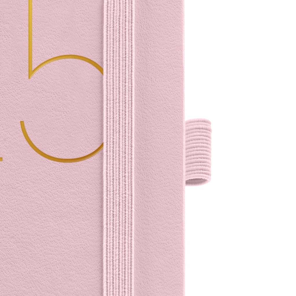 AGENDA PASSPORT SEMANA VISTA CHESTER RIGIDA ROSA 2025