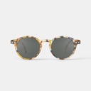 JUNIOR SUN d Blue Tortoise